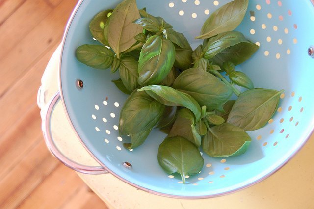 Albahaca